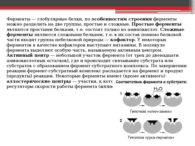 История открытия ферментов презентация