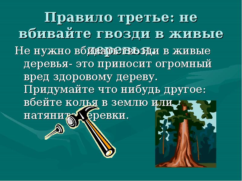 Правило третье: не вбивайте гвозди в живые деревья. Не нужно вбивать