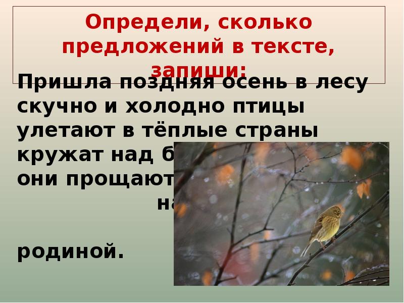 Сколько предложений. Пришла поздняя осень в лесу скучно и холодно птицы улетают. Пришла поздняя осень в лесу стало скучно и холодно. Пришла поздняя осень в лесу стало скучно. Пришла поздняя осень в лесу.