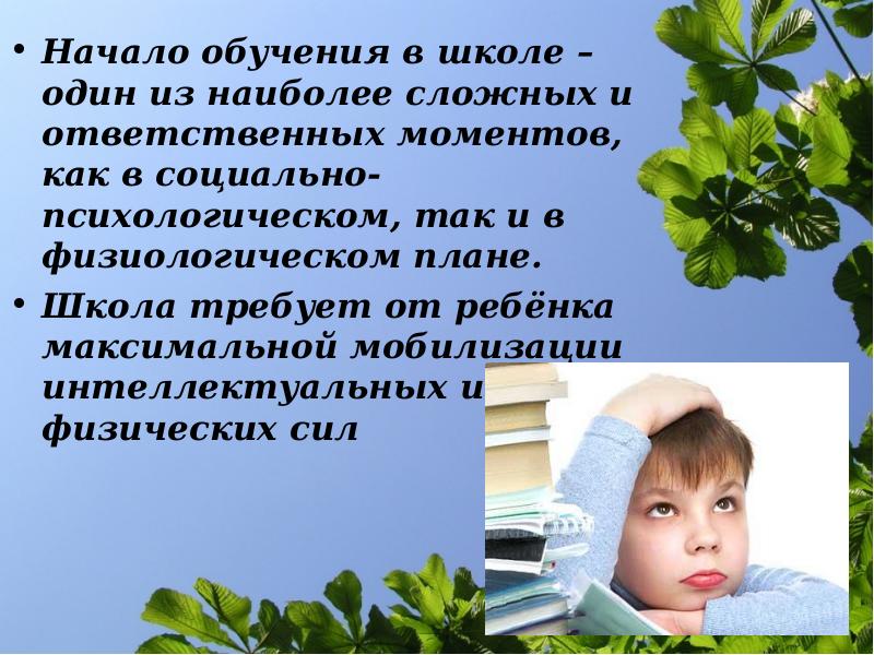 Введение в школьную жизнь