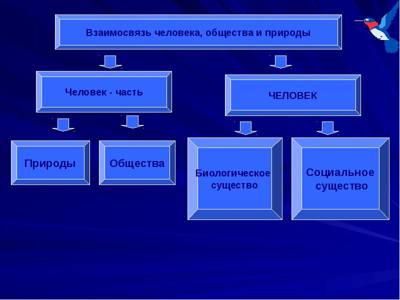 Личность природа цивилизация презентация