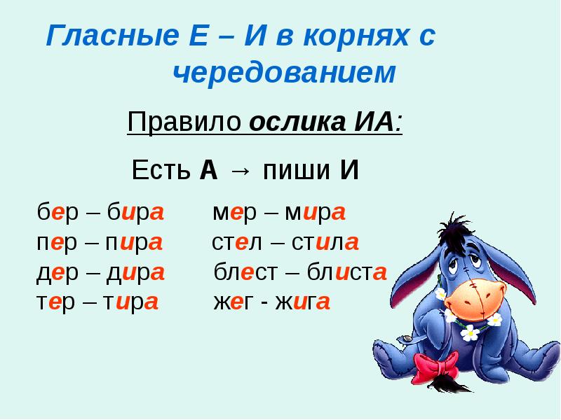 Презентация буквы е и в корнях с чередованием 5 класс фгос