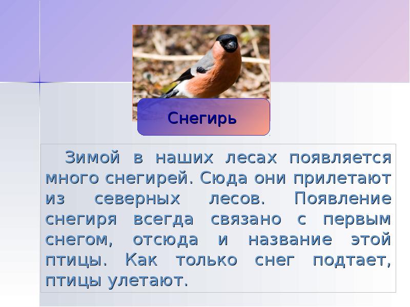 Тают птицы тают птицы. Птицы которые появляются при появлении снега. В октябре прилетают к нам из северных лесов Снегири часть речи ВПР.