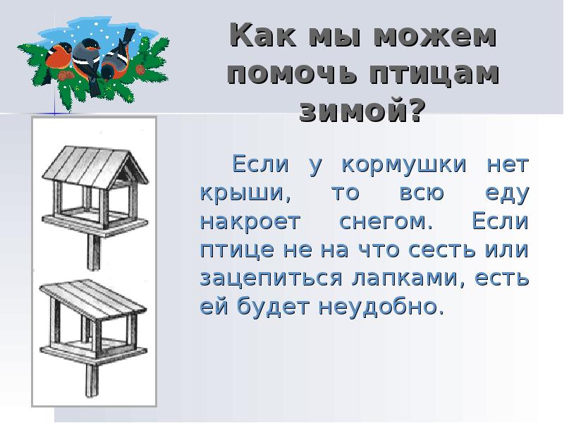 Как помочь животным зимой 2 класс. Статья как помочь животным в зимнее время 2 класс. Рассказ помоги птицам. Статья как помочь птицам зимой.