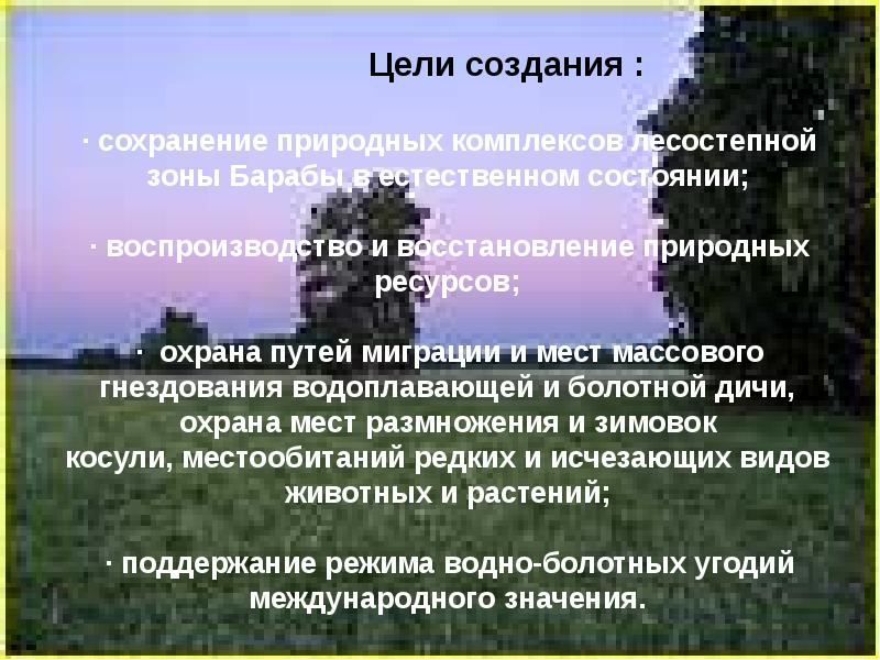 Заказник майское утро новосибирской области презентация