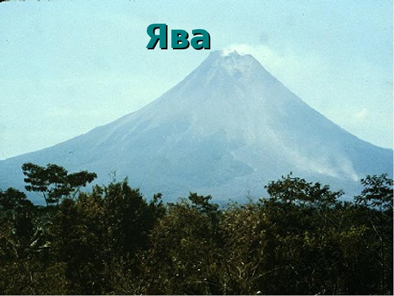 Ява Ява