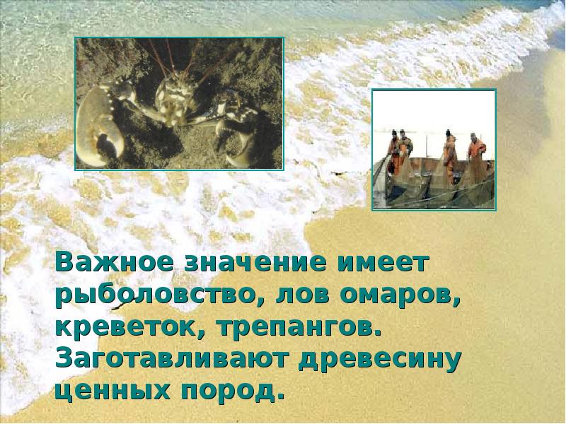 Важное значение имеет рыболовство, лов омаров, креветок, трепангов. Заготавливают древесину ценных Важное значение имеет рыболовство, лов омаров, креветок, трепангов. Заготавливают древесину ценных