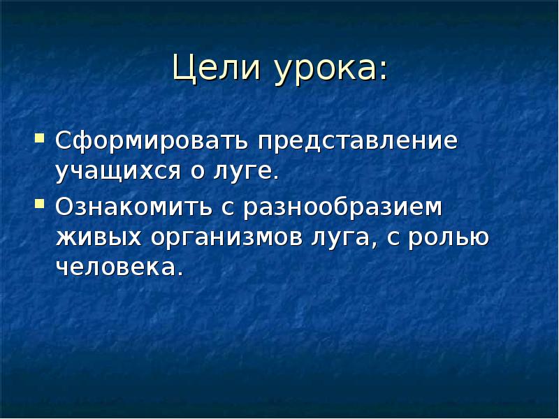 Цели урока географии. Цель урока. Сообщение о живых организмах Луга.