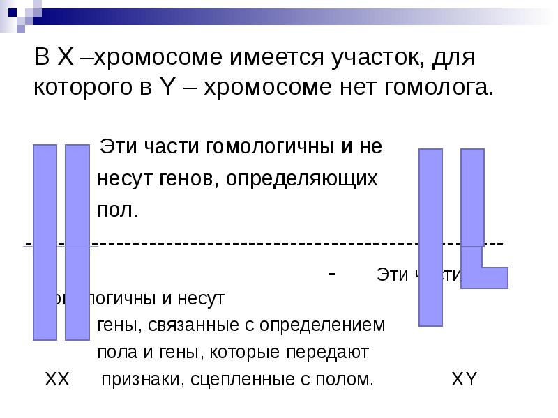 Поле гена. Парные гены гомологичных хромосом называют. Какую информацию несёт в себе ген. Результат показывает наличие хромосомы y. Гены несут в себе.