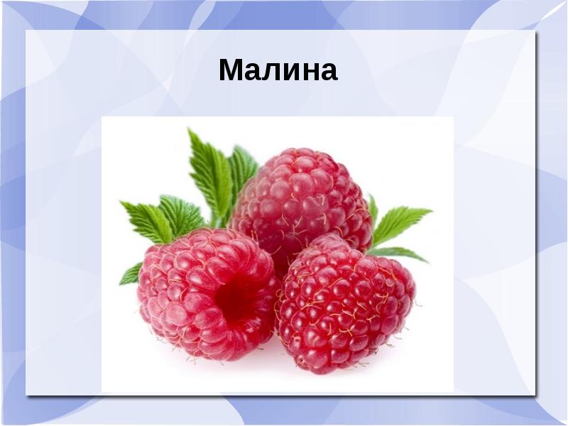 Презентация на тему малина