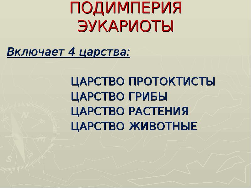 Ядерные организмы. Царство протоктисты , царство грибы. Протоктисты. Общая характеристика царства протоктисты\. Подимперия эукариоты.