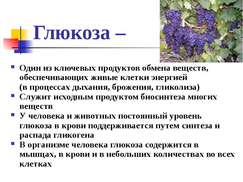 Вещество обеспечивающее. Продукты обмена веществ ненужные клетке. Какова роль обмена веществ и энергии в клетке 5 класс. Назови продукты обмена веществ в ненужные клетки. Какое вещество дает больше всего энергии для клеток человека.