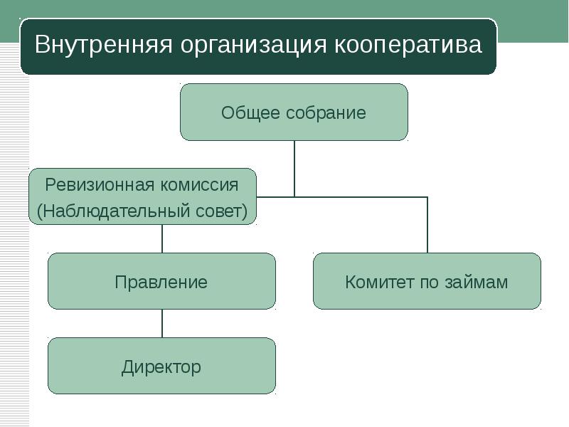 Внутренне организованная. Организационная структура кредитного кооператива. Кооперативная экономика. Ревизионная комиссия кооператива. Наблюдательный совет кооператива рисунок.