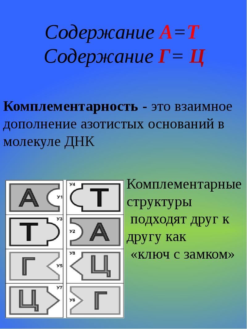 Комплементарный это. Комплементарность. Комплементарность это в биологии. Комплементарностьм био. Комплементарность этою.