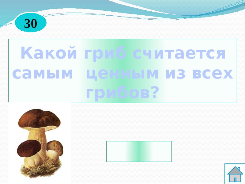 Не считай какая. Какой гриб считается самым ценным. Считаем грибы. Какой гриб считается самым большим. Какие грибы считаются самыми дорогими в мире.