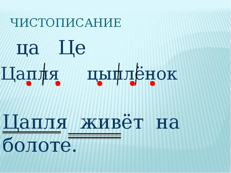 Буква ц презентация 1 класс