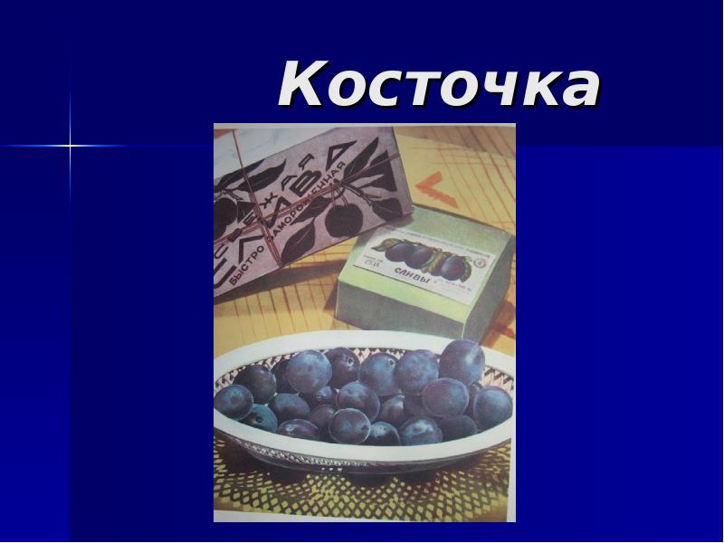 Косточка толстой презентация