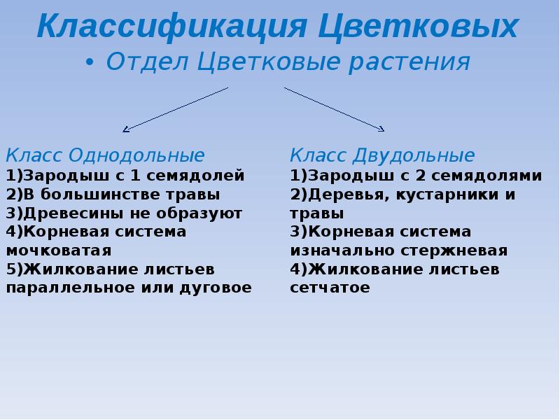 Отдел цветковые. Отдел Покрытосеменные таблица 6 класс. Заполните схему «классификация покрытосеменных». Отдел цветковые это отдел.