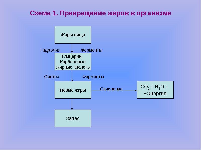 Гидролиз жира схема