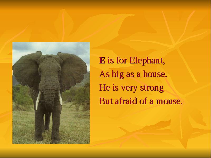 He is very strong. E is for Elephant. He is an Elephant 3 класс. He is an Elephant 3 класс английский. Стих is for Elephant.