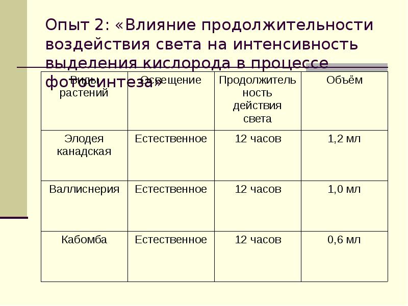 Влияние сроков. Интенсивность фотосинтеза. Влияние света на интенсивность процесса фотосинтеза. Таблица фотосинтез 6 класс. Интенсивность фотосинтеза единицы измерения.