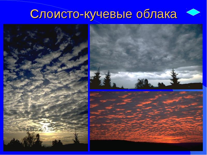 Слоисто-кучевые облака Слоисто-кучевые облака