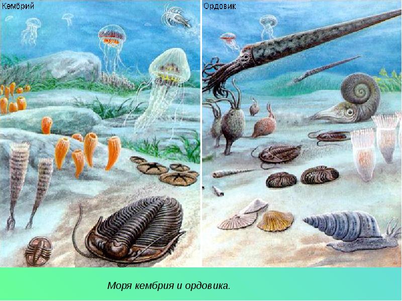 Возникновение жизни на земле картинки для презентации