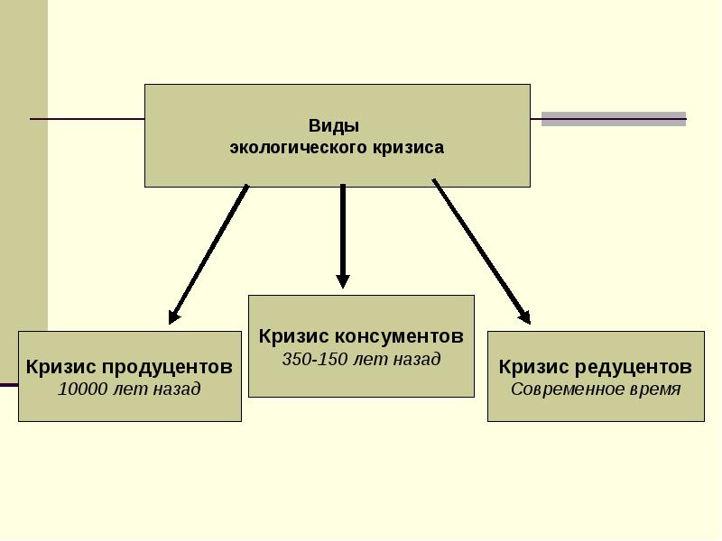 Кризис консументов. Кризис редуцентов. Виды экологических кризисов. Кризис продуцентов кризис консументов кризис редуцентов.