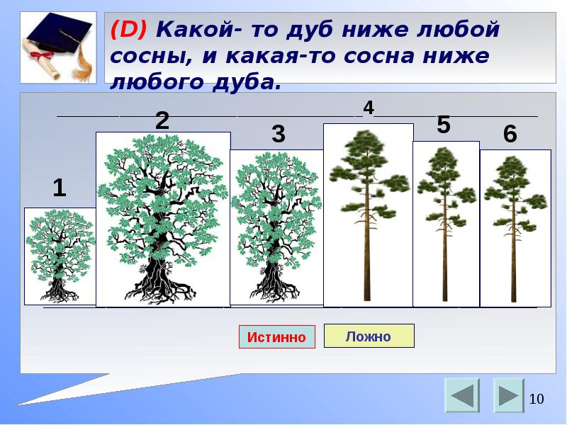 Сосна какая группа организмов. Схема развития дуба. Растение выше орешника но ниже сосны отметь.