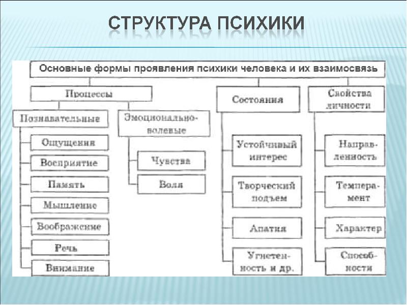 Психические свойства личности виды. Структура психики схема. Составляющие структуры психики. Схема структура психики человека в психологии. Схема основные формы проявления психики.