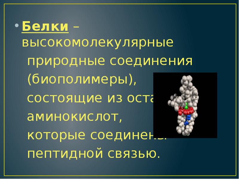 Презентация белки химия 11 класс