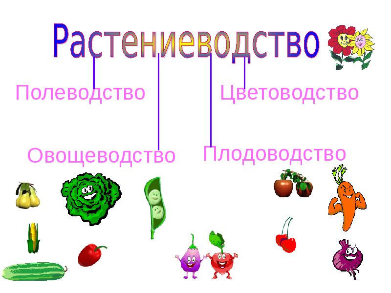 Растениеводство в нашем крае 4 класс окружающий мир презентация школа россии презентация