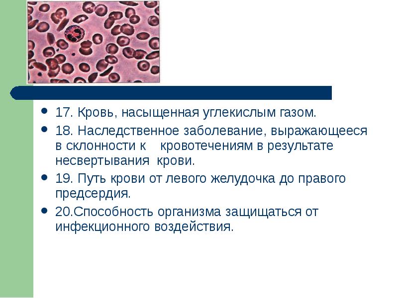 Наследственные заболевания крови презентация