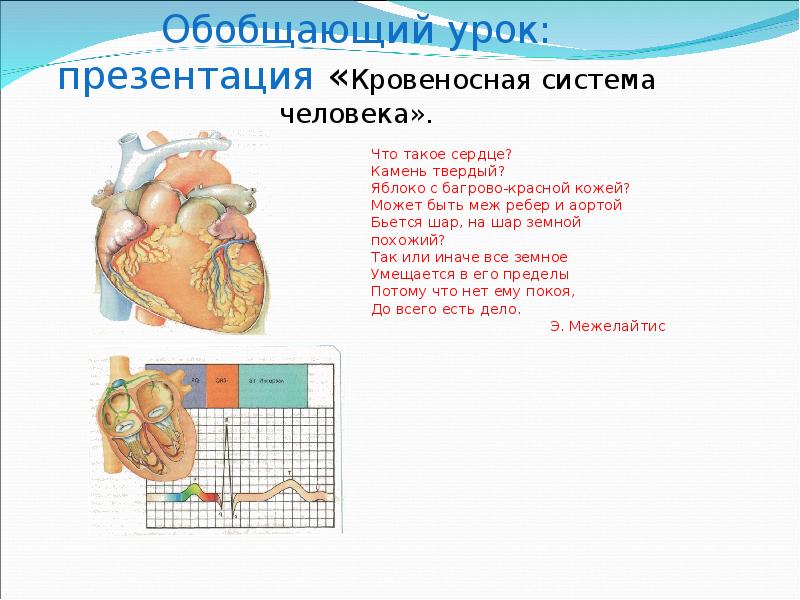 Тверже сердечный