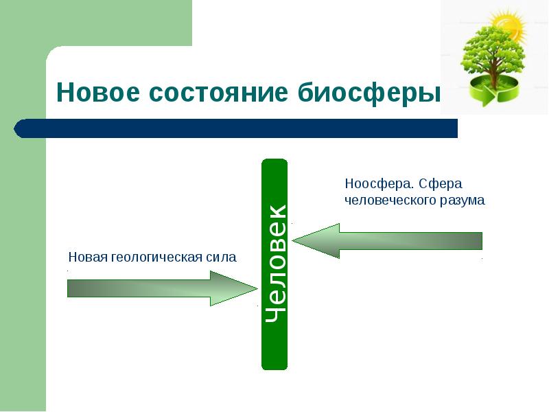 Презентация влияние человека на биосферу 6 класс биология