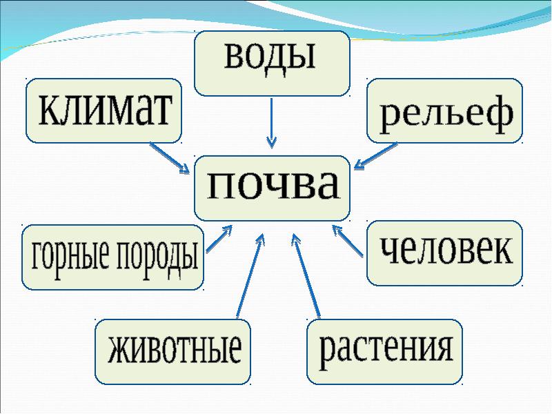 Состав почвы 3 класс окружающий мир схема