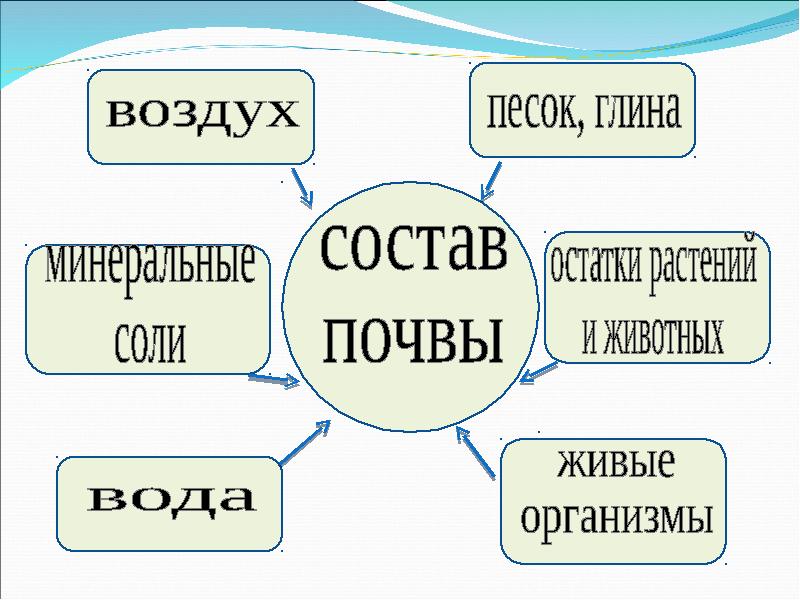 Презентация на тему почва 3 класс