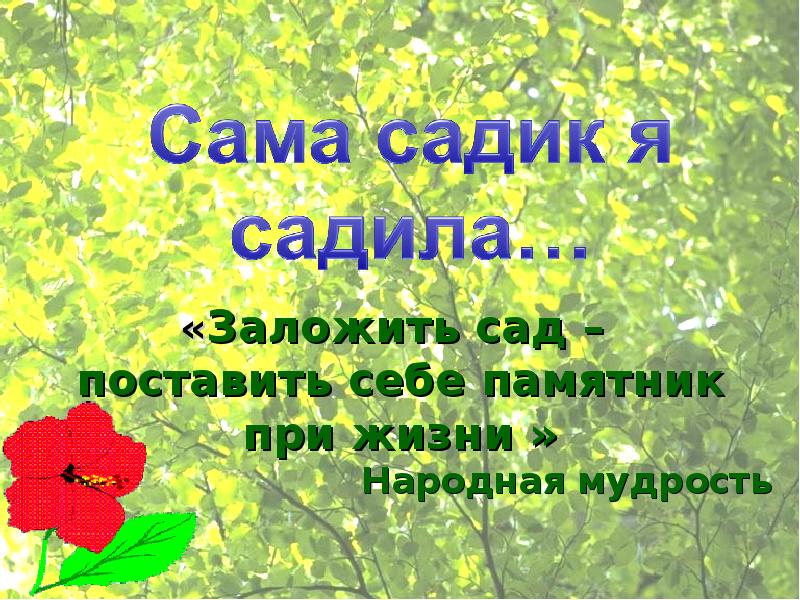 Поставь в сад. Сама садик я садила. Сама садик я садила картинки. Сама садик я садила слова. Сама садик я садила, прикольные открытки.