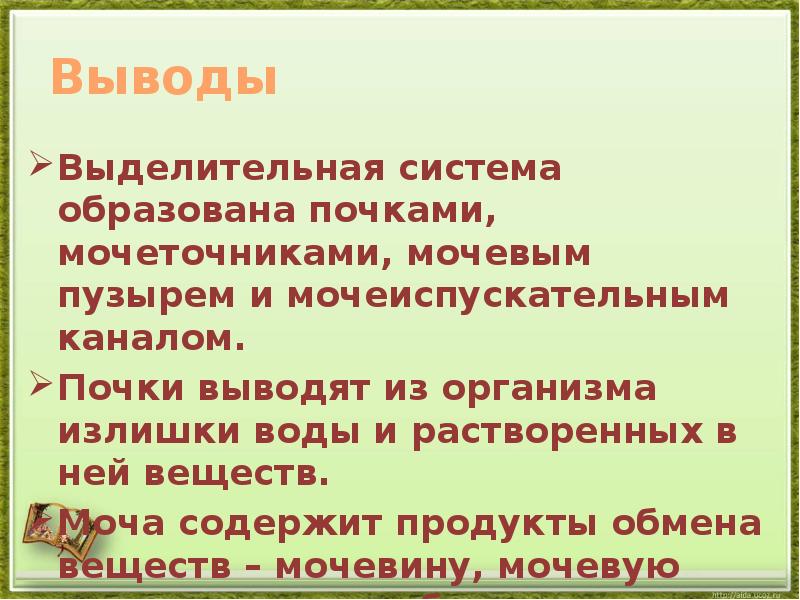 Презентация выделительная система 4 класс