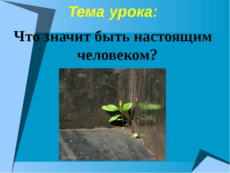 Будь человеком 3 класс. Что значит быть настоящим человеком. Презентация на тему что значит быть человеком. Рассказ что значит быть настоящим человеком 3 класс. Рассказ на тему что значит быть настоящим человеком.