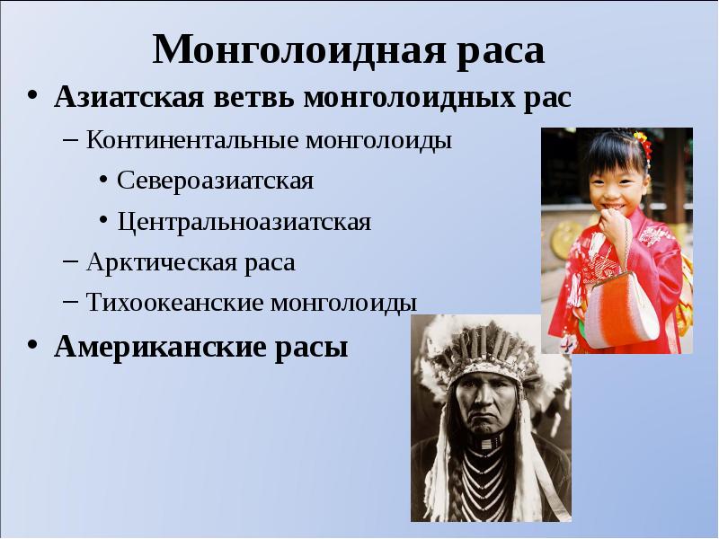 Монголоидная раса Азиатская ветвь монголоидных рас  Континентальные монголоиды  Североазиатская