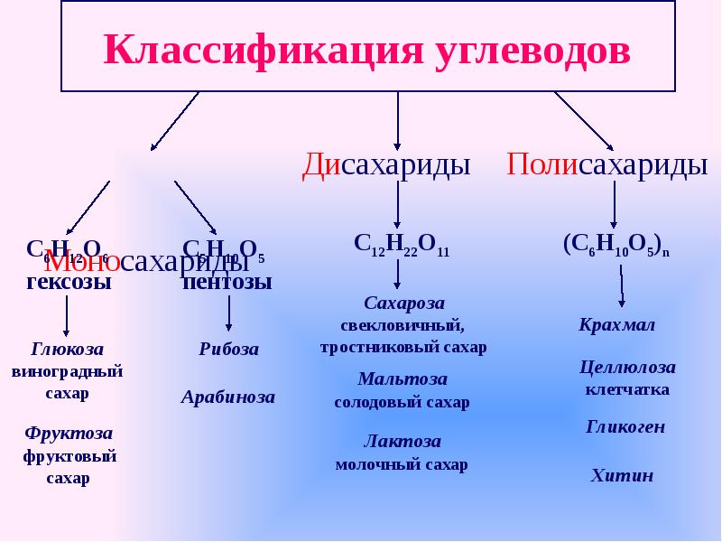 Презентация на тему углеводы