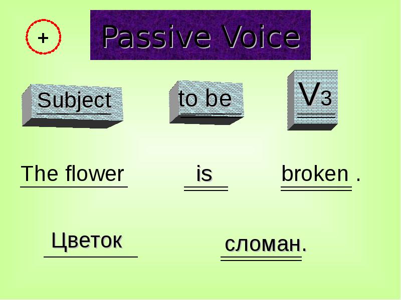 Passive Voice
The flower Passive Voice
The flower