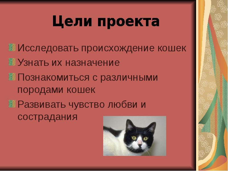 Презентация кошки 2 класс. Проект про кошек. Проект домашние кошки. Слайд про кошек. Презентация про котов.