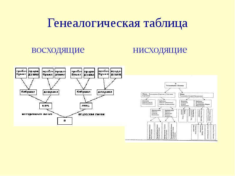 Родственники по прямой восходящей линии. Горизонтальная родословная таблица. Вертикальная восходящая родословная таблица. Генеалогическая таблица нисходящее. Генеалогическая таблица нисходящего родословия.