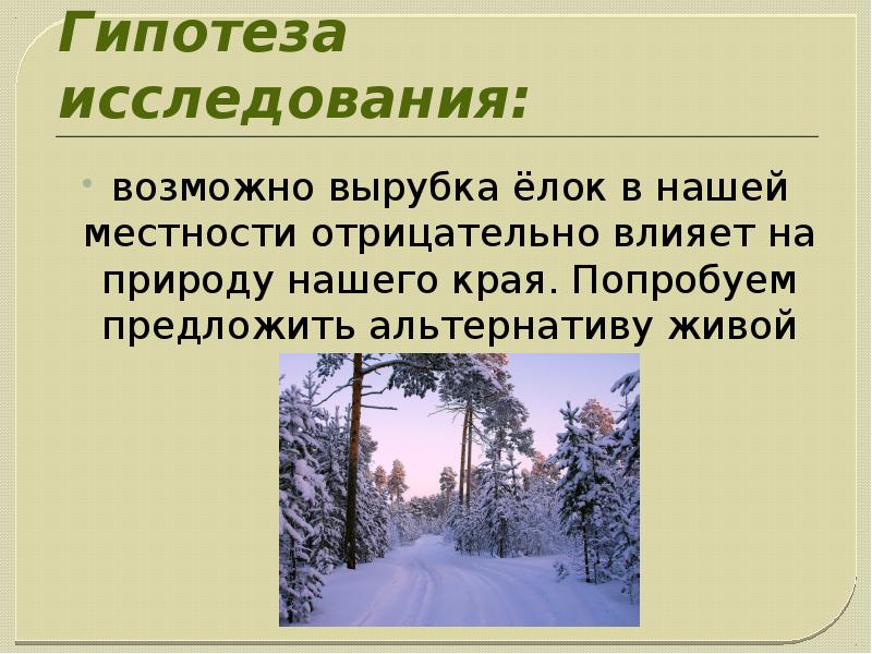 Предложить альтернативу. Сочинение про елку в лесу. Гипотеза о елке. Гипотеза проекта про елочку. Описание елочки в лесу зимой.