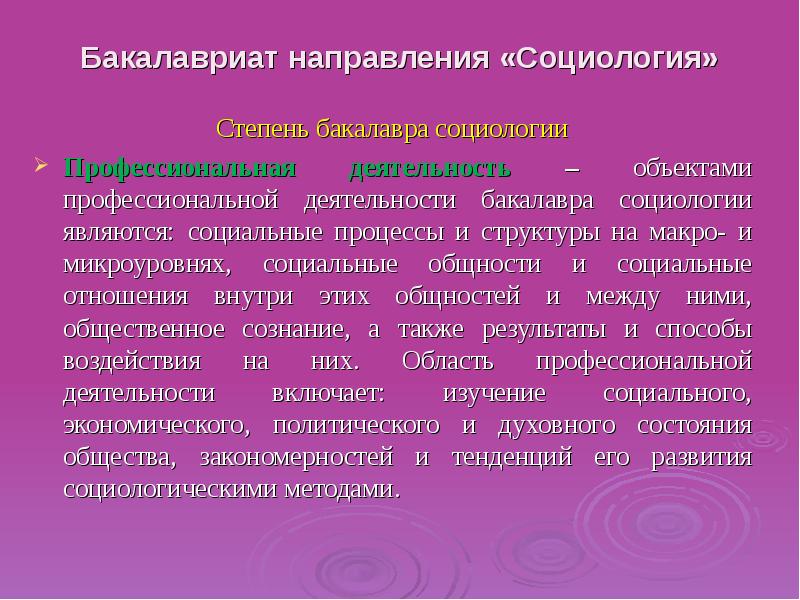 Направление бакалавриата. Бакалавриат социология что такое. Социология в профессиональной деятельности. Социальные процессы и структуры на макро- и микроуровнях. Направления бакалавриата.