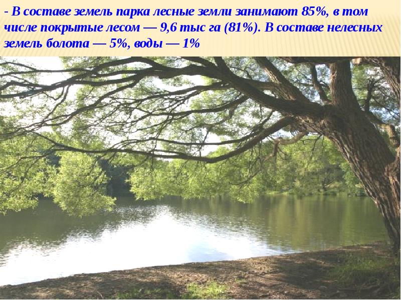 Презентация на тему национальный парк лосиный остров