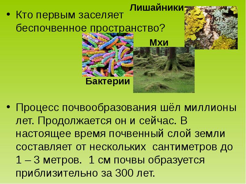 4 класс земля кормилица окружающий мир презентация