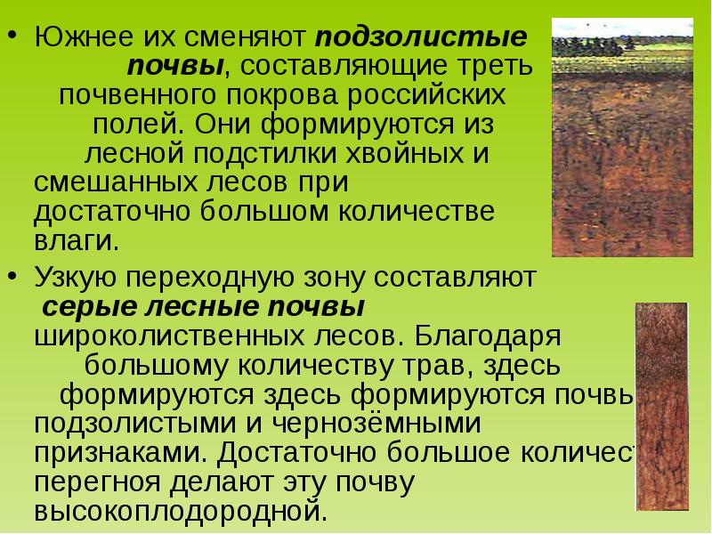 Земля кормилица 4 класс окружающий мир презентация школа россии презентация